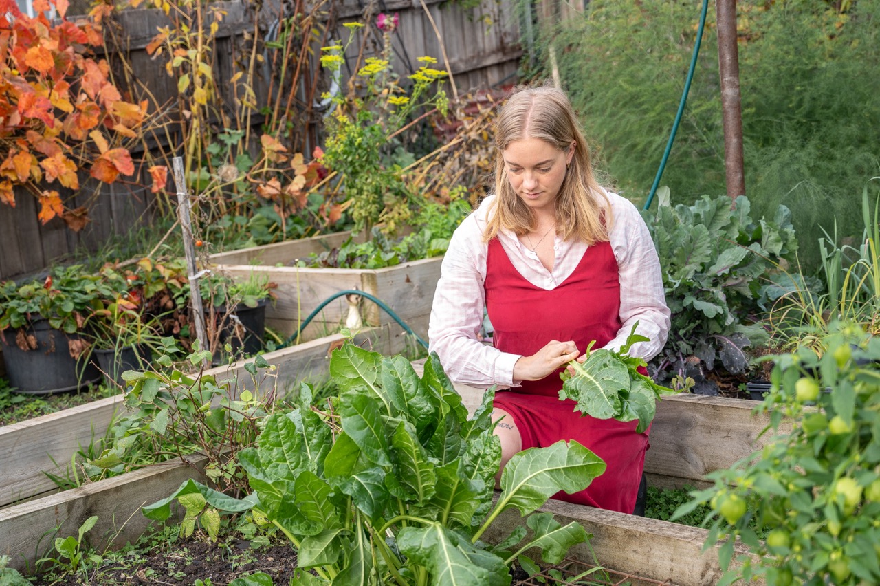 beccy in the garden picking veggies